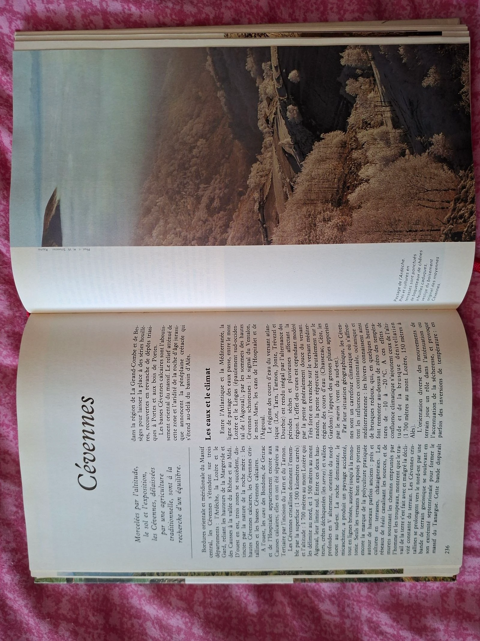 Livro guia da natureza na França – photo 3